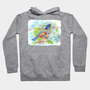 Bird colorfull Hoodie